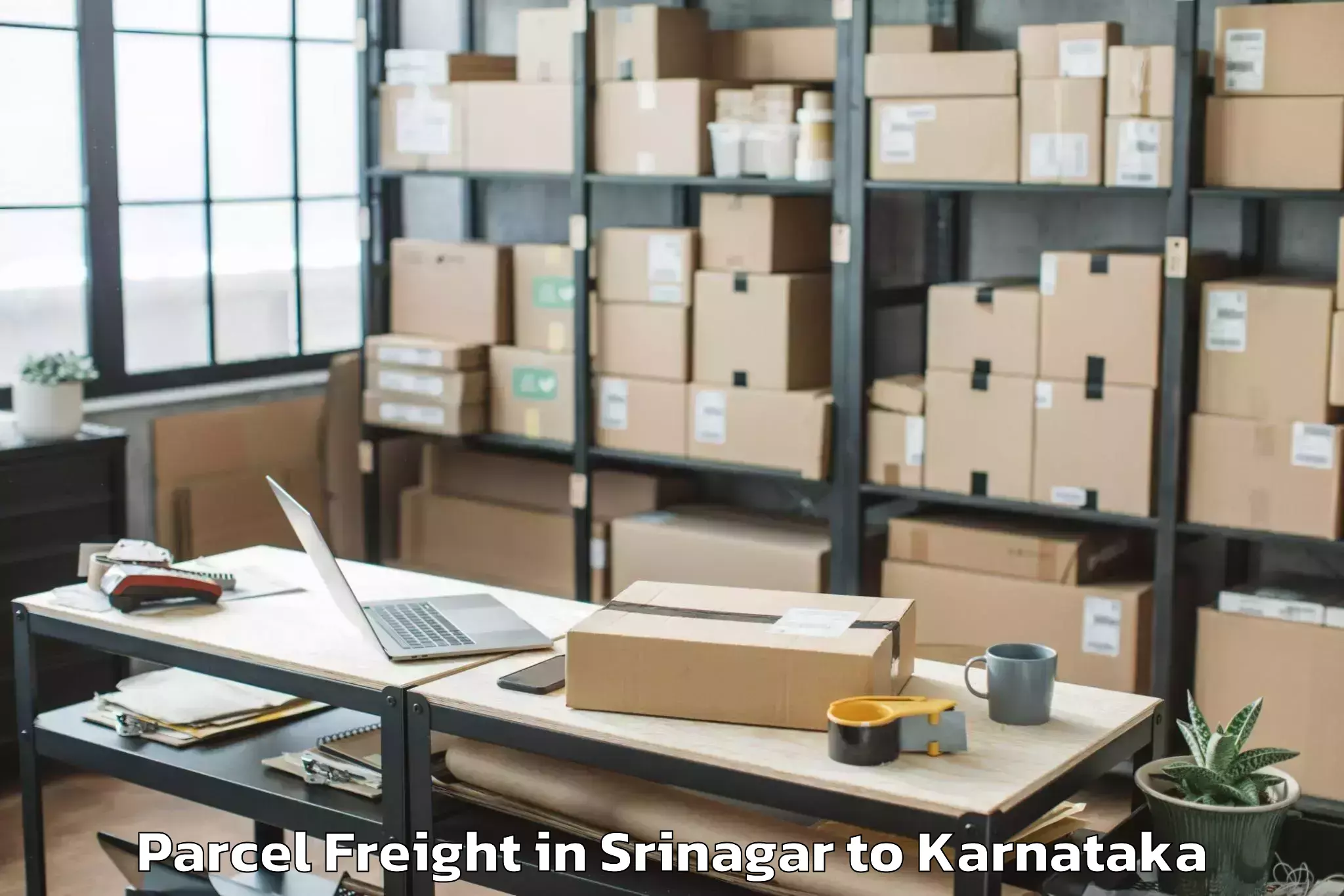 Top Srinagar to Sri Devaraj Urs Academy Of Hig Parcel Freight Available